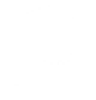 Logo - VVS Fagmann